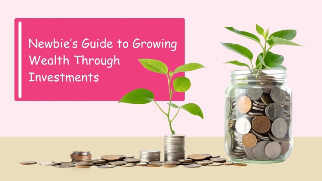 Newbies Guide to Growing Wealth Through Investments